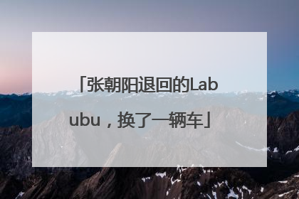 张朝阳退回的Labubu，换了一辆车
